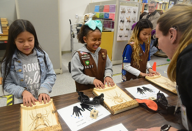 Brownie Girl Scouts (from left) Jayda Navarette, Kendl Mackin and Keira Yu of Vacaville Troop 30477 react to the spider sensory activity. At right is postdoctoral fellow Vera Opatova of the Jason Bond lab. (Photo by Kathy Keatley Garvey)