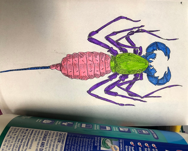 Color a scorpion? You bet. this was one of the results. (Photo by Kathy Keatley Garvey)