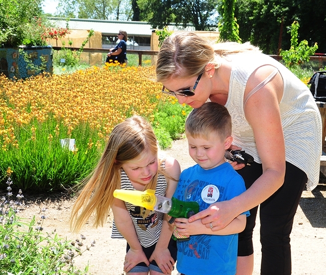 At a recent TODS Day, UC Davis employee Sarah Robertson supervises her children, Isla and Cameron, as they use a catch-and-release device to observe bees up close. (Photo by Kathy Keatley Garvey)