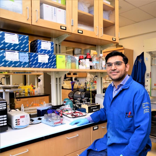 Shahid Masood Siddique, a new member of the UC Davis Department of Entomology and Nematology faculty, studies plant-parasitic nematodes. (Photo by Kathy Keatley Garvey)