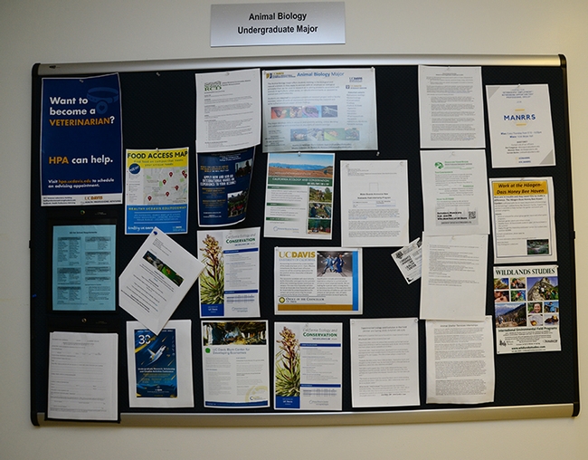 The bulletin board outside Elvira Galvan Hack's office in Hutchison Hall is a magnet for students. (Photo by Kathy Keatley Garvey)