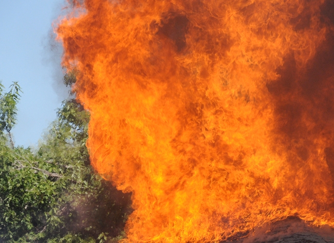 In reviewing the 117 studies, published in 68 different journals dating from 1979 to 2018 and encompassing 45 countries, the authors identified patterns of mainly negative impacts to pollinators and pollination from flooding, drought, and extreme heat. This image of a fire was taken in Davis. (Photo by Kathy Keatley Garvey)