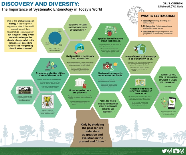 Jill Oberski's infographic in the SysEB section: “Discovery and Diversity: The Importance of Systematic Entomology in Today’s World.”