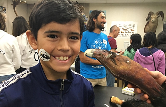 Jefferson Wright, an eighth grader at Emerson Middle School, Davis, enjoys attending the annual UC Davis Biodiversity Museum Day. 