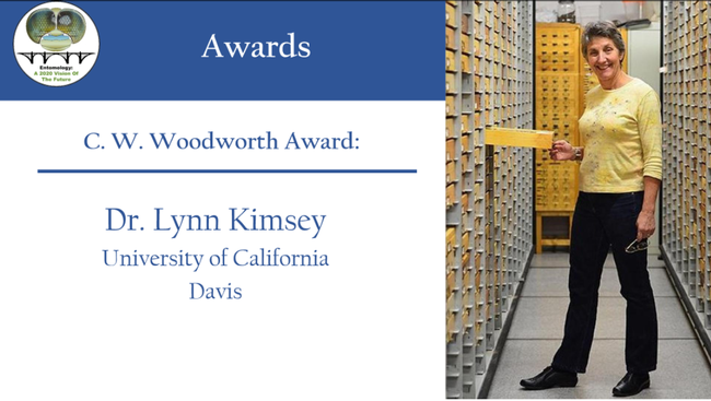 PBESA presented Lynn Kimsey, director of the Bohart Museum of Entomology, with the C. W. Woodworth Award, with this graphic at its virtual awards ceremony.
