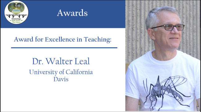 PBESA presented UC Davis distinguished professor Walter Leal with the Award for Excellence in Teaching, with this graphic at its virtual awards ceremony.