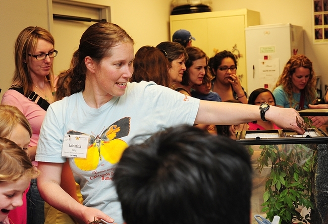 Tabatha Yang, education and outreach coordinator of the Bohart Museum of Entomology, led a virtual tour of the arthropods. (Photo by Kathy Keatley Garvey)