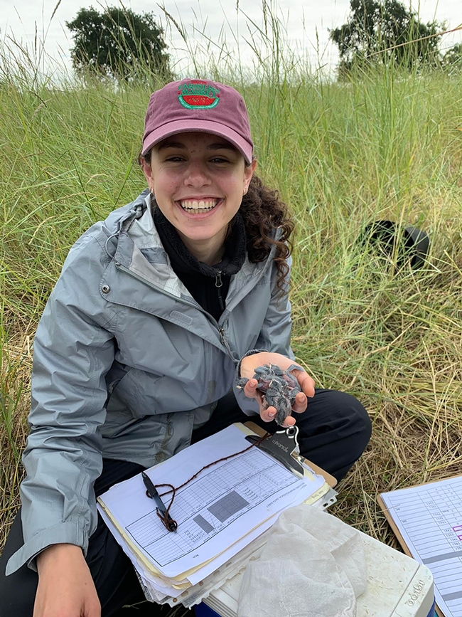 Naomi Murray, a third-year student at UC Davis, shown here doing field work in Davis, anticipates receiving her bachelor of science degree in evolution, ecology and biodiversity in June 2021. (Photo by Alicia Bird)