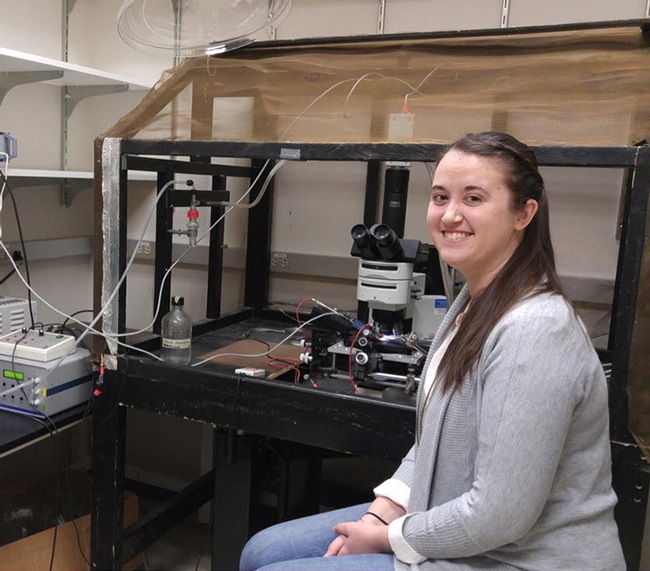 UC Davis postdoctoral researcher Amber Crowley-Gall of the Vannette lab received a USDA-NIFA fellowship to research 