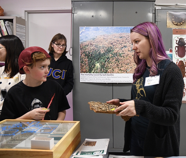 UC Davis doctoral student Crystal Homicz, discusses forest entomology with visitors at a Bohart Museum of Entomology open house. (Photo by Kathy Keatley Garvey)