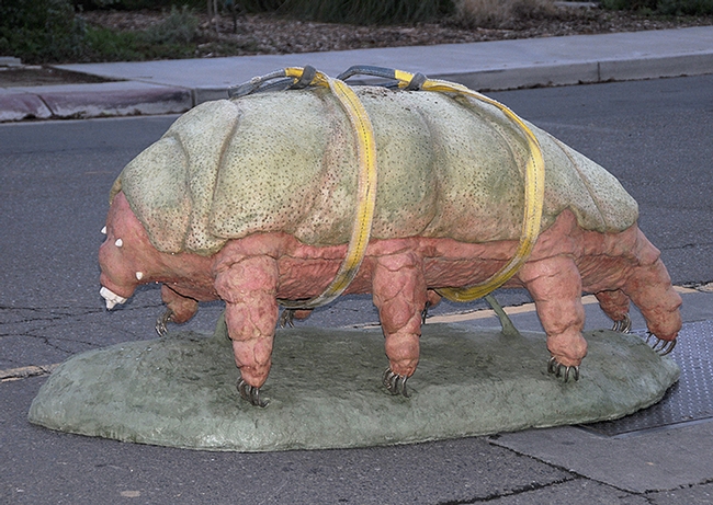 The tardigrade sculpture weighs 2,112 pounds and measures six feet long and nearly three feet high. (Photo by Lynn Kimsey)