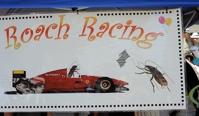 A sign in front of the 2019 cockroach races in front of Briggs Hall. The UC Davis Entomology Graduate Student Association coordinates the races. (Photo by Kathy Keatley Garvey)