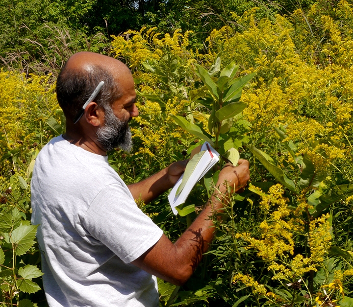 UC Davis Doctoral Alumnus Anurag Agrawal Of Cornell Elected To NAS ...