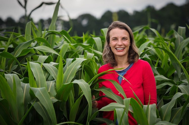 UC Davis alumnus Hannah Burrack, a professor of entomology and extension specialist at North Carolina State University, Raleigh, has been named chair of the Department of Entomology at Michigan State University, effective Jan. 1, 2022.