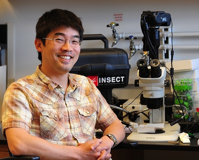 Professor Louie Yang in his research lab. (Photo by Kathy Keatley Garvey)