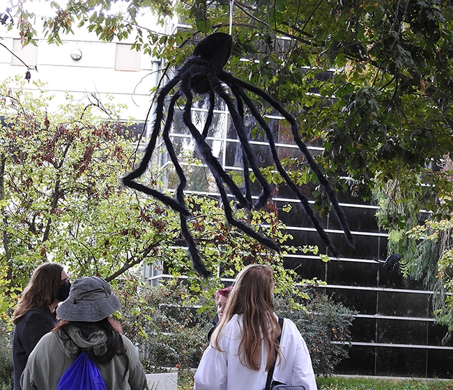 Spiders dangled from the trees at the Bohart Museum Society's party and guests paid them no mind. (Photo by Kathy Keatley Garvey)