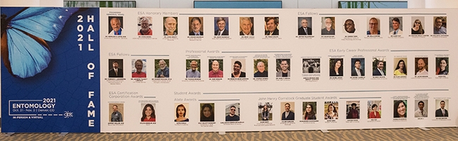 The Hall of Fame at the ESA meeting included images of Frank Zalom, Honorary Member, and Kelli Hoover, Fellow. (Entomological Society of America/Photography G)