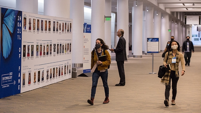 Attendees walk past The Hall of Fame at the ESA meeting. It included images of Frank Zalom, Honorary Member, and Kelli Hoover, Fellow. (Entomological Society of America/Photography G)