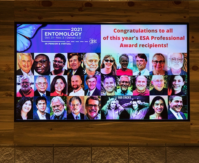 ESA winners were singled out in this wall poster at the Denver meeting. (Entomological Society of America/Photography G)