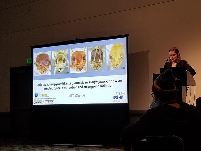 Doctoral candidate Jill Oberski of the Phil Ward lab, UC Davis Department of Entomology and Nematology, delivering her presentation on 