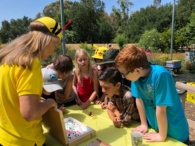 Amador County third graders learn about bees from Wendy Mather of the California Master Beekeeper Program during a classroom tour of the UC Davis Bee Haven. (Photo by Kathy Keatley Garvey)