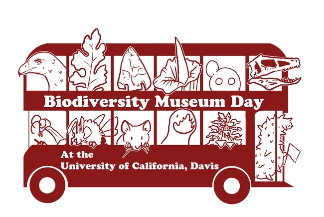 The 2022 UC Davis Biodiversity Museum Day will feature 11 museums or collections, represented on this bus graphic by Ivana Li, UC Davis biology lab manager.  (The Marine Invertebrate collection will not be represented but a sea cucumber hitched a ride anyway).