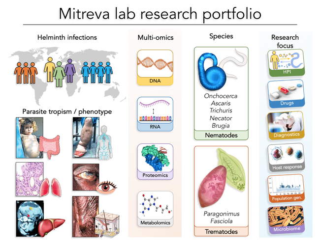 Research in the laboratory of Makedonka Mitreva (Screen shot)