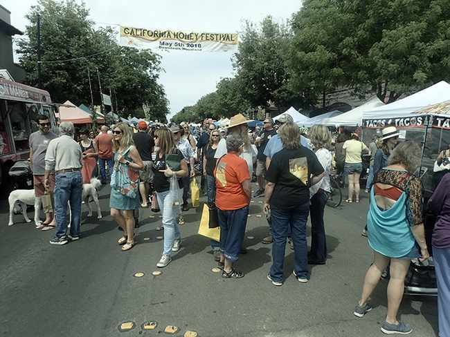 Thousands attend the annual California Honey Festival, launched in 2017. This image is from the 2018 festival. (Photo by Kathy Keatley Garvey)