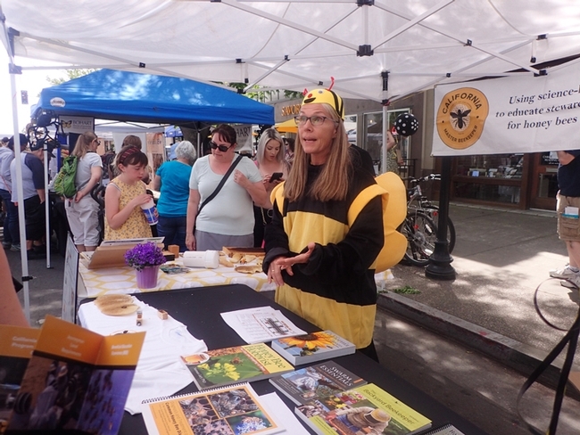 Wendy Mather, program manager of the California Master Beekeeper Program, is dressed in a bee costume at the California Honey Festival. (Photo by Kathy Keatley Garvey)