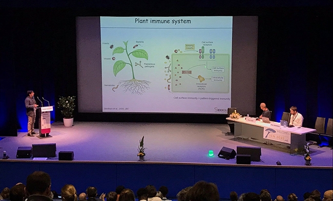 UC Davis nematologist Shahid Siddique presents a seminar on “How Plants Recognize Nematodes: Signals and Signalling” at the Seventh International Congress of Nematology meeting in Antibes Juan-Les-Pins, France.