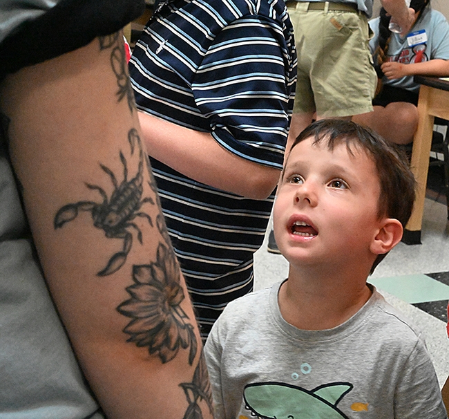 Five-year-old Shaked Hoffman of Davis expresses intense interest in the spider conversation. (Photo by Kathy Keatley Garvey)