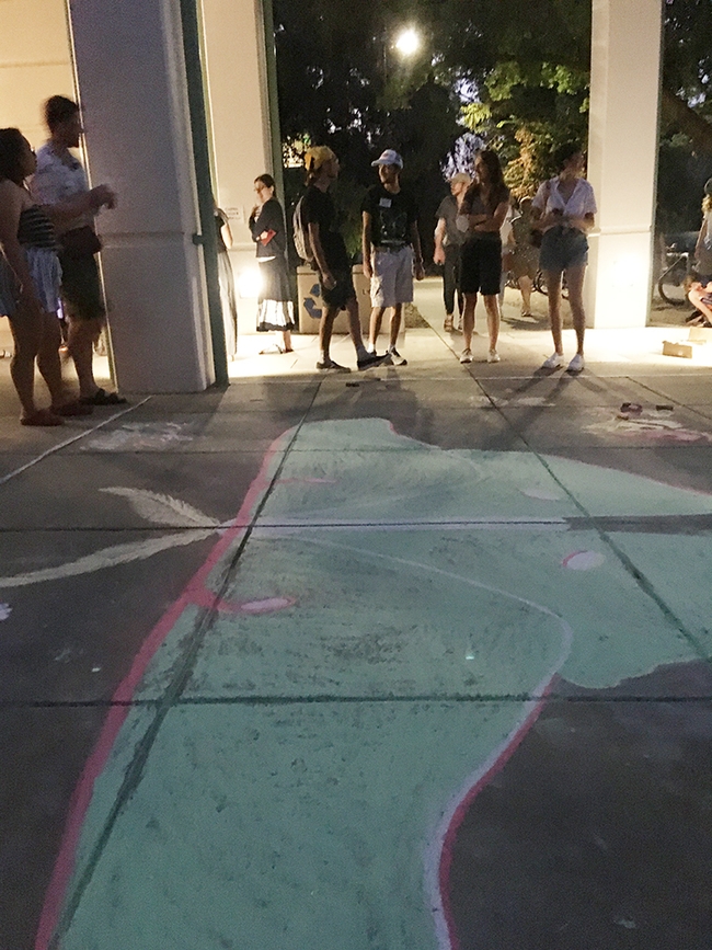 A night-time scene in front of the Bohart Museum of Entomology at its July 30th Moth Night. A luna moth chalk drawing is in the foreground. (Photo by Srdan Tunic)