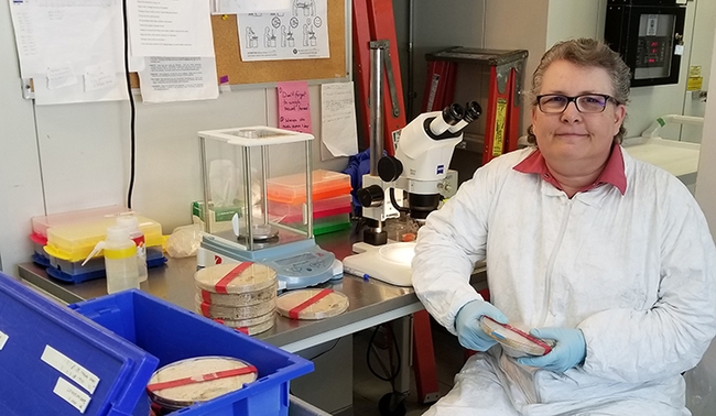 Much of research entomologist Melody Keena's work has been one in a quarantine facility 