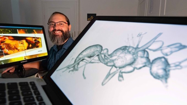 UC Davis doctoral alumnus Brendon  Boudinot, an Alexander von Humboldt Research Fellow at the Institute of Zoology and Evolutionary Research at Friedrich Schiller University Jena, shows a 3D image of the newly discovered ant species named 