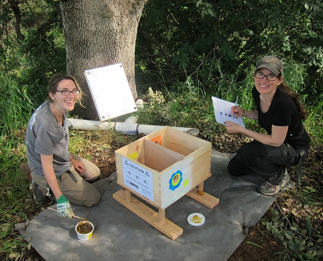 Maj Rundlöf (right), a co-lead author of the research paper, and co-author Rosemary Malfi collect data at a bumble bee colony. (Photo courtesy of the Neal Williams lab)