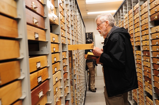 Avid butterfly collector Bill Patterson looking specimens at the Bohart Museum of Entomology. This image was taken in 2017. (Photo by Kathy Keatley Garvey)