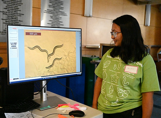 Graduate student Pallavi Shakya with her computer display. (Photo by Kathy Keatley Garvey)