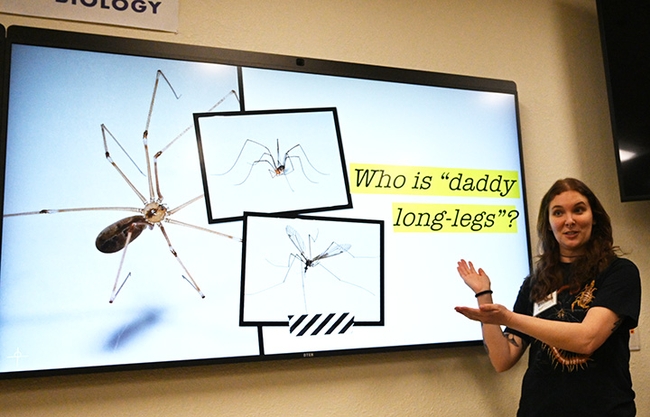 Doctoral candidate Emma Jochim discusses cellar spiders, crane flies and harvesters. Each is known in various regions of the country by the common name, 