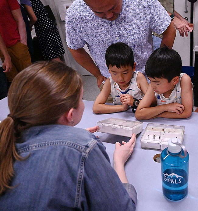 Twins Lucas (left) and Logan Cheuk, 5, of Woodland are eager to learn about ants from myrmecologist Jill Oberski. (Photo by Kathy Keatley Garvey)