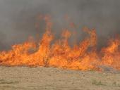 “The No. 1 wildfire impact for ranchers is on their physical and mental health,” says Tracy Schohr, a UC Cooperative Extension livestock and natural resources advisor in Plumas, Sierra and Butte counties. Photo by Tracy Schohr, UC ANR