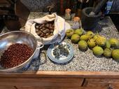From left, common manzanita berries, black oak acorns, California wild grapes, salt and black walnuts. 
