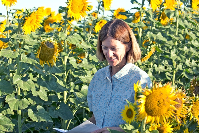 Rachael Long stands among sunflowers that are taller than she is.