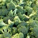 Production costs are available for bunched broccoli and broccoli crowns.