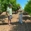 Thomas Gradziel, left, and Carlo Crisosto have published “Peach,” a landmark handbook for growing peaches and nectarines. It covers everything from rootstocks to maintaining fruit quality after harvest.