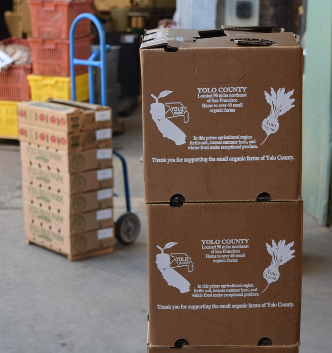 Two stacked cardboard produce boxes with additional boxes on a hand dolly.