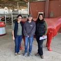 From left to right: Former UC Davis School of Veterinary Medicine researcher Fernanda Ferreira, Fred Rau Dairy manager Shonda Reid and UC Cooperative Extension dairy advisor Daniela Bruno have collaborated on studies of large dairies in California using automatic milking systems. A robot that pushes feed to the cows can be seen in the background. Photo courtesy of Daniela Bruno