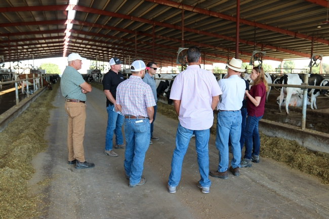 A group of tour participants gather in a dairy barn to discuss automatic milking systems