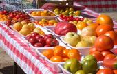 A wide variety of tomatoes can be grown in the garden.