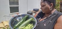 CalFresh Healthy Living, UCCE Alameda gets residents of South County Homeless Project involved in growing their own food. for Food Blog Blog