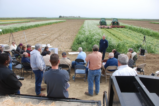 A group of people sit and listen to a scientist describe research in a field, with two tractors and cover crops in the background
